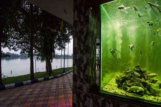 State Fisheries Development Corporation Ltd. (SFDC)